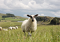 Welcome to Hexham Enterprise Hub (National Park Offices)