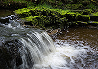 Welcome to Station Yard