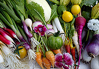 Welcome to Vallum Farm